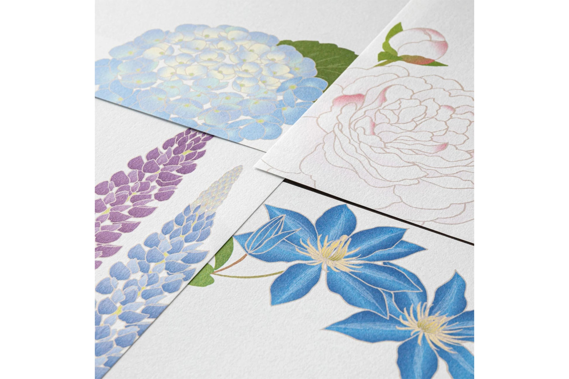 Kami Letter & Envelope Set - Summer Flowers General Flywheel Stationery Tasmania