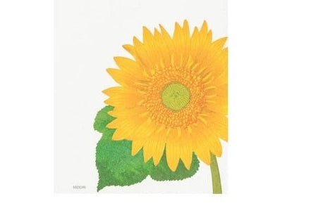 Kami Letter & Envelope Set - Sunflowers