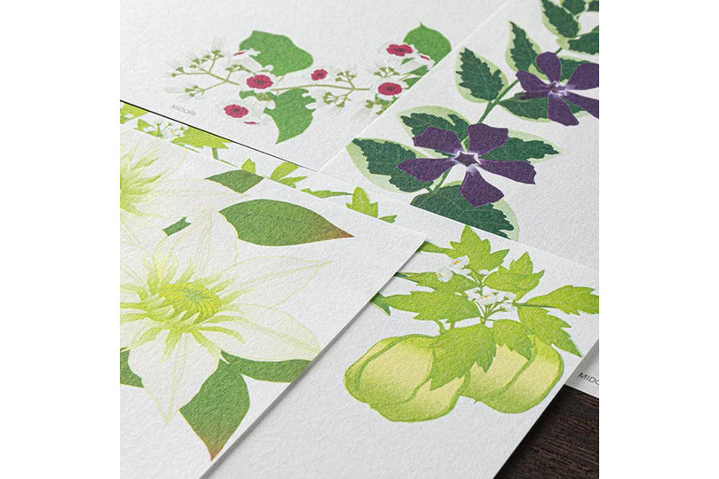 Kami Letter & Envelope Set - Summer Floral | Flywheel | Stationery | Tasmania