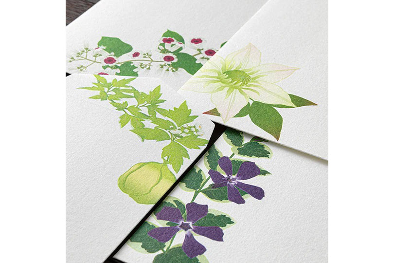 Kami Letter & Envelope Set - Summer Floral | Flywheel | Stationery | Tasmania