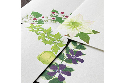 Kami Letter & Envelope Set - Summer Floral | Flywheel | Stationery | Tasmania