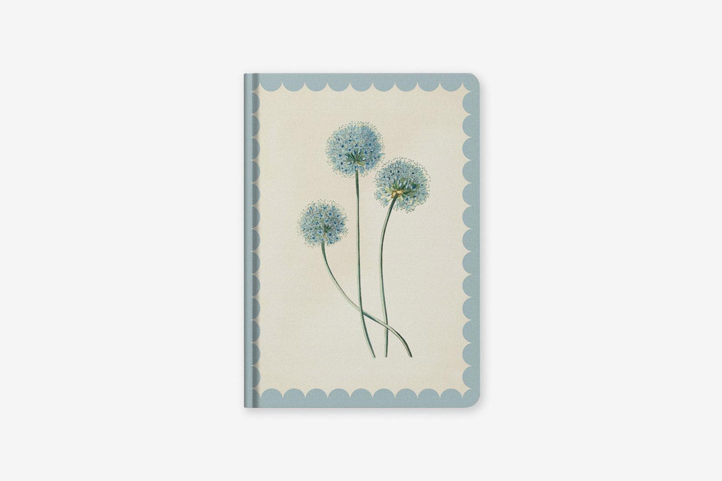 Kaleido A5 Hard Cover Notebook - Allium | Flywheel | Stationery | Tasmania