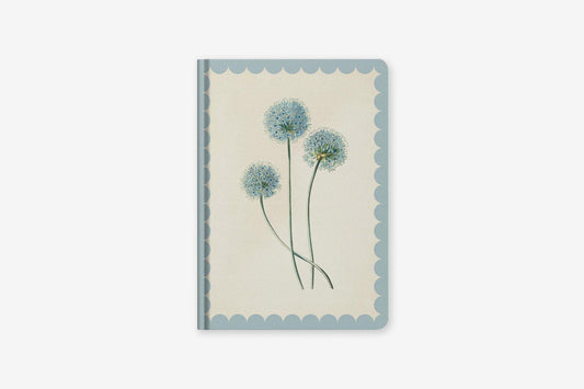 Kaleido A5 Hard Cover Notebook - Allium | Flywheel | Stationery | Tasmania