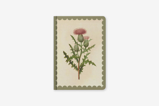 Kaleido A5 Hard Cover Notebook - Thistle | Flywheel | Stationery | Tasmania