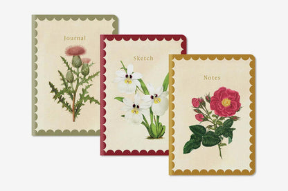 Kaleido B6 Notebook Set - Natural World | Flywheel | Stationery | Tasmania