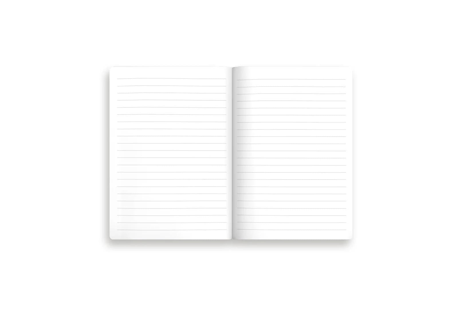Kaleido B6 Notebook Set - Natural World | Flywheel | Stationery | Tasmania