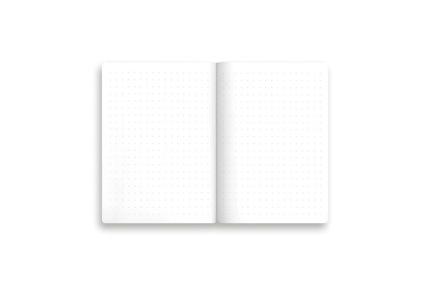 Kaleido B6 Notebook Set - Natural World | Flywheel | Stationery | Tasmania