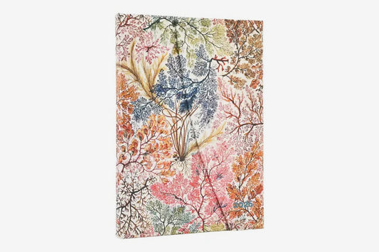 Paperblanks 2026 Midi Weekly Diary - Anemone | Flywheel | Stationery | Tasmania