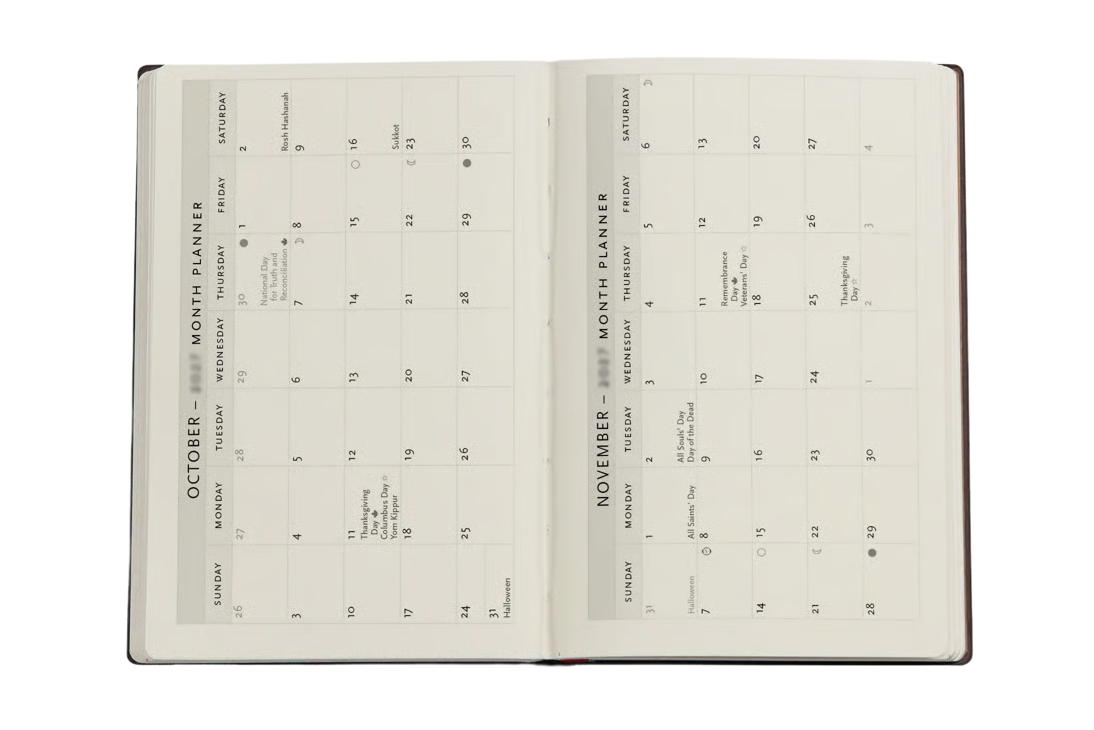 Paperblanks 2027 Mini Daily Planner - Wildflower Song