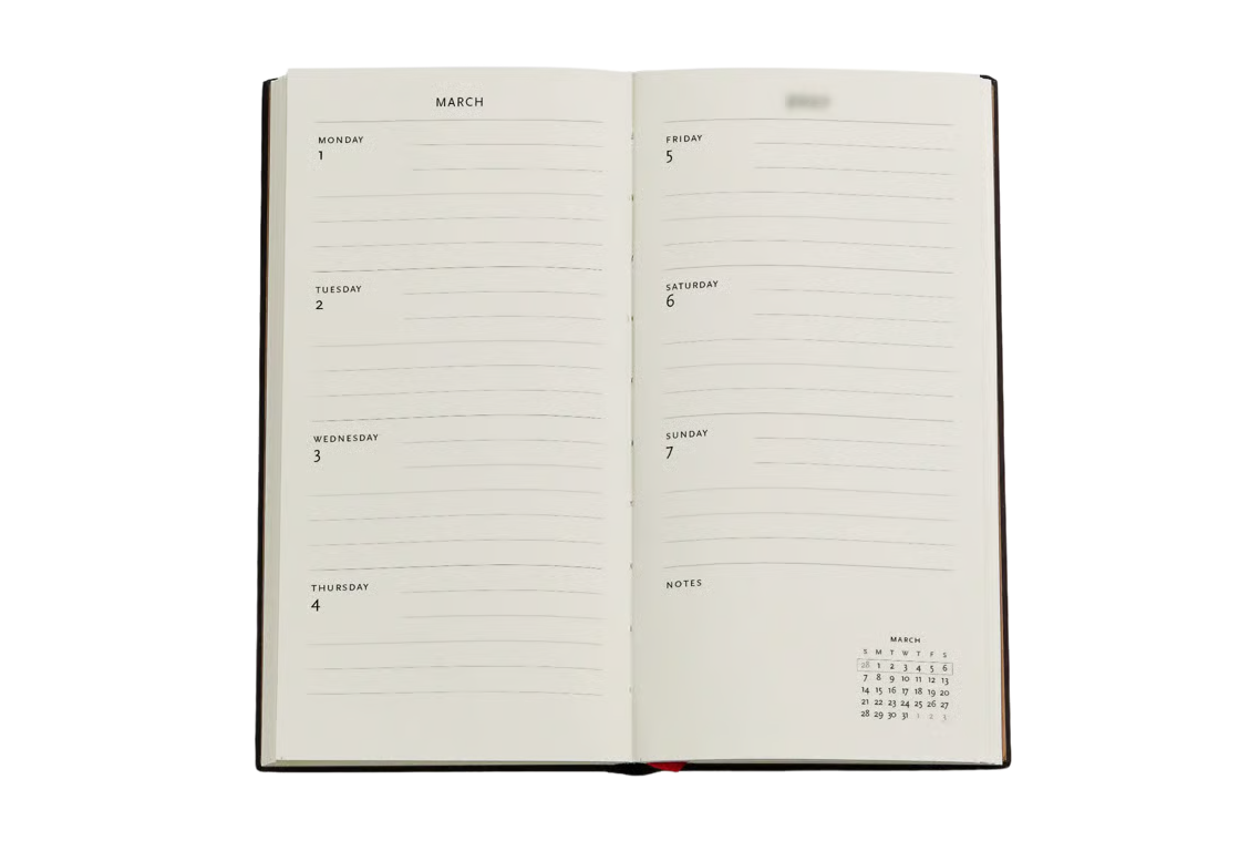 Paperblanks 2027 Slim Weekly Planner - Golden Age