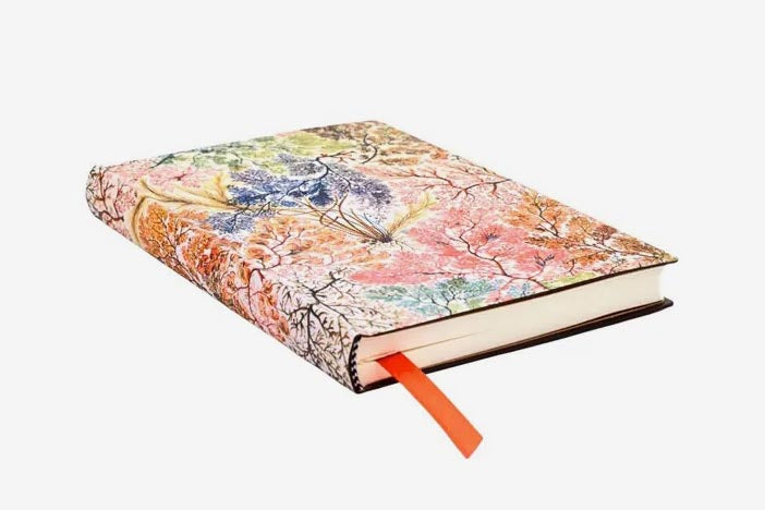 Paperblanks Mini Softcover Journal - Anemone – Flywheel