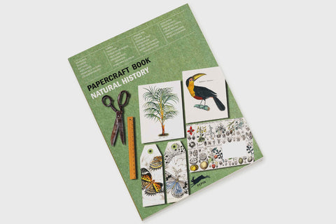Pepin Press Paper Craft Book - Natural History