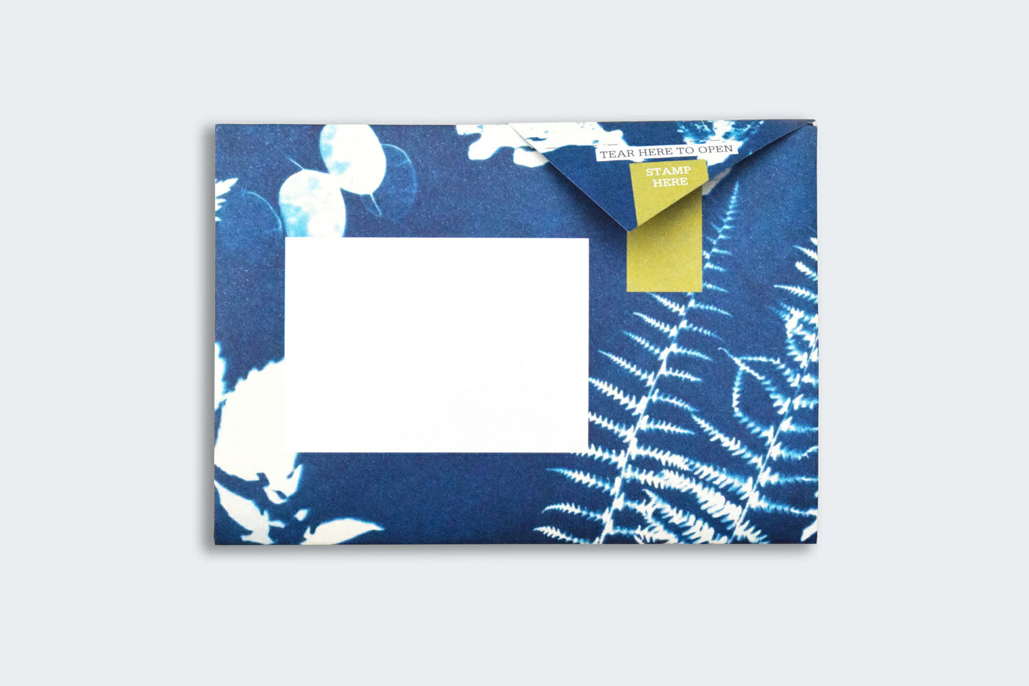 Pigeon Posted Letter Pack - Apothecary | Flywheel | Stationery | Tasmania