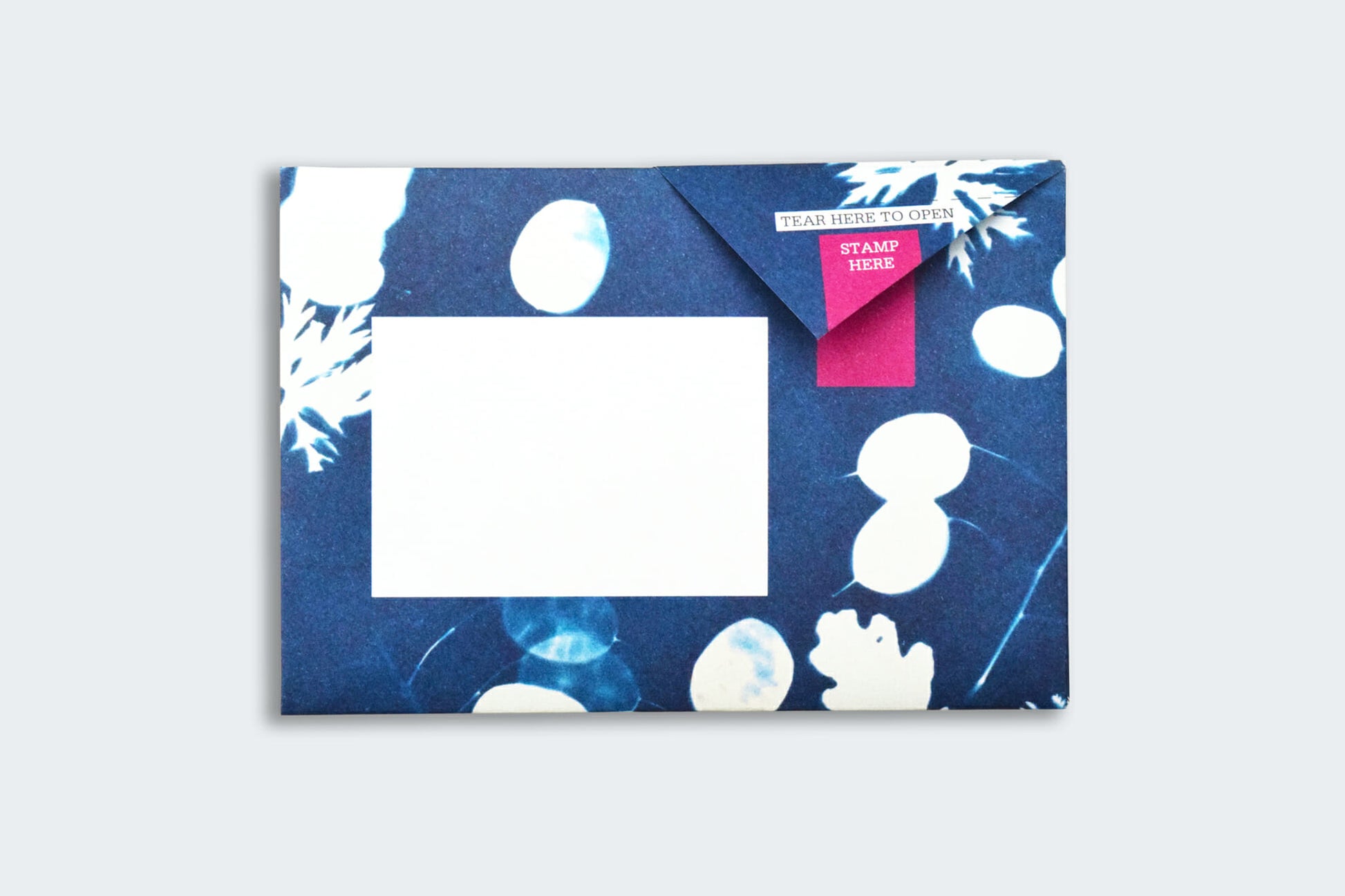 Pigeon Posted Letter Pack - Apothecary | Flywheel | Stationery | Tasmania