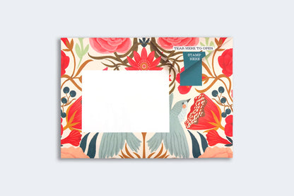 Pigeon Posted Letter Pack - Bright & Beautiful | Flywheel | Stationery | Tasmania