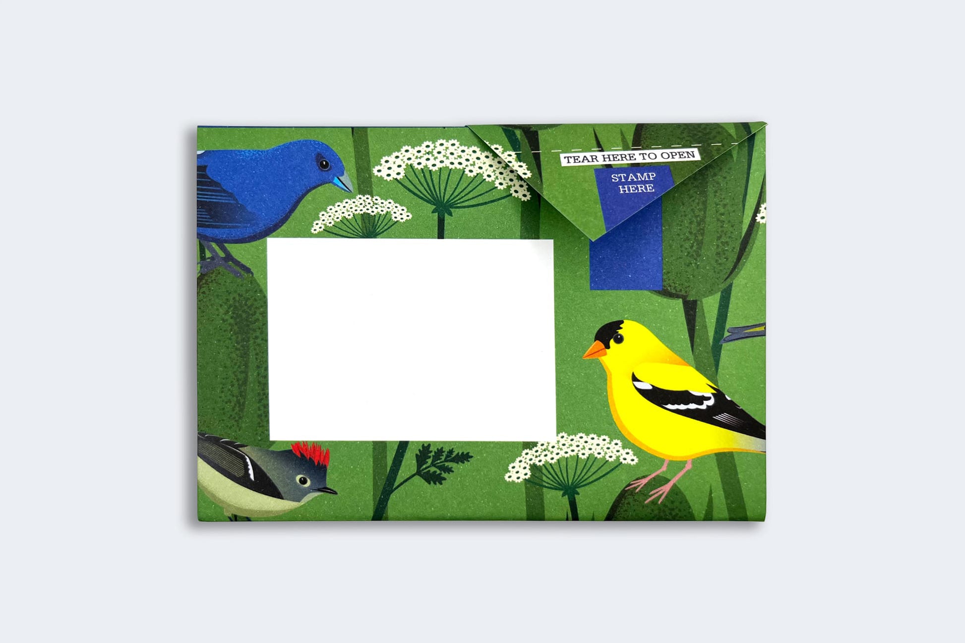 Pigeon Posted Letter Pack - Carnival of Colour | Flywheel | Stationery | Tasmania