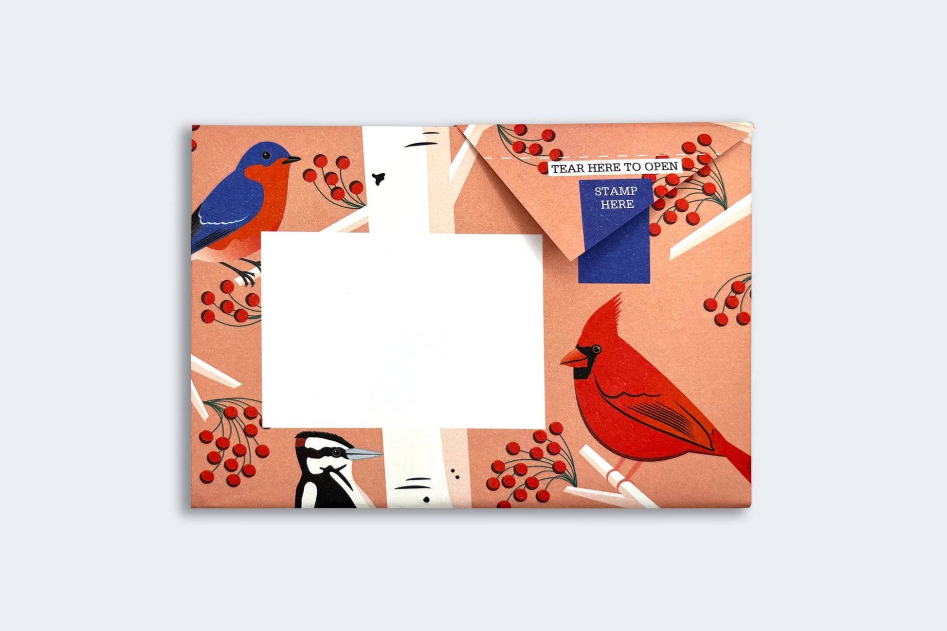 Pigeon Posted Letter Pack - Carnival of Colour | Flywheel | Stationery | Tasmania