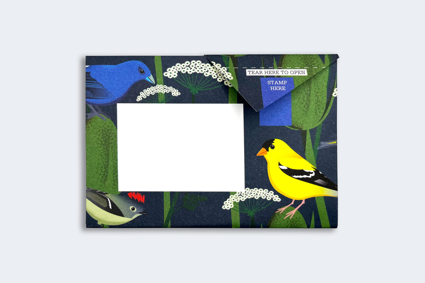 Pigeon Posted Letter Pack - Carnival of Colour | Flywheel | Stationery | Tasmania