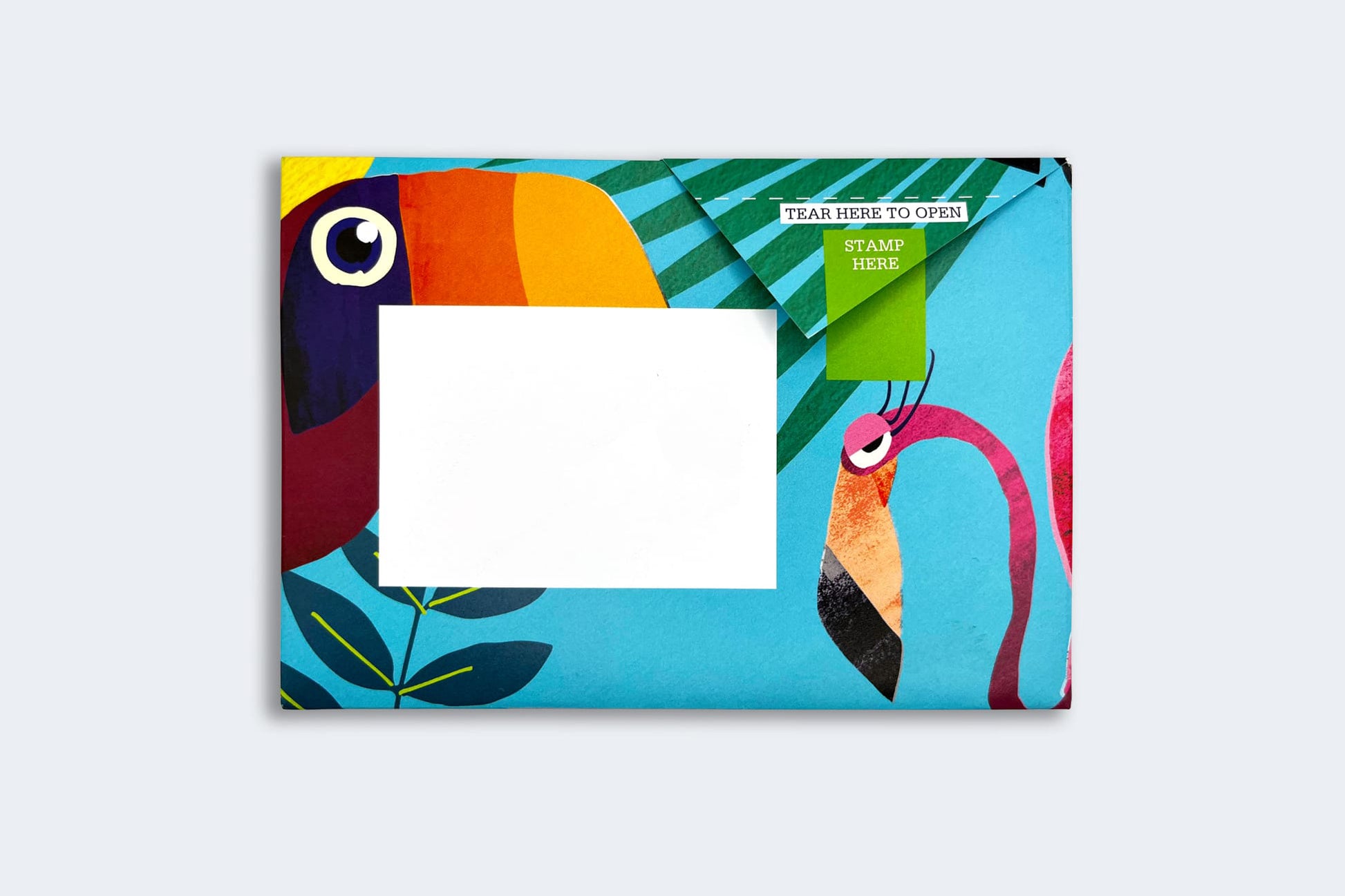 Pigeon Posted Letter Pack - Wild Lives | Flywheel | Stationery | Tasmania