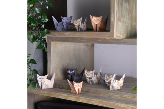 Pikkii Paper Cats Flywheel Stationery Tasmania