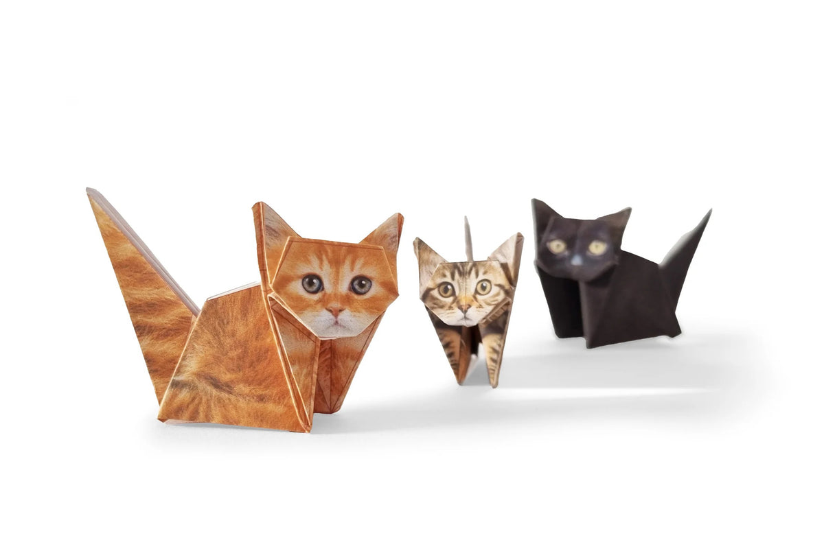 Pikkii Paper Cats Flywheel Stationery Tasmania