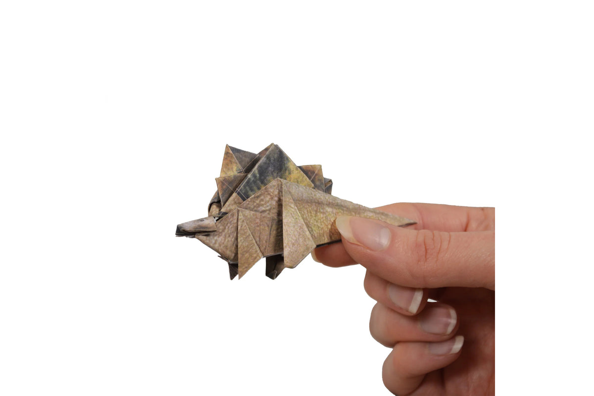 Pikkii Paper Dinos Flywheel Stationery Tasmania