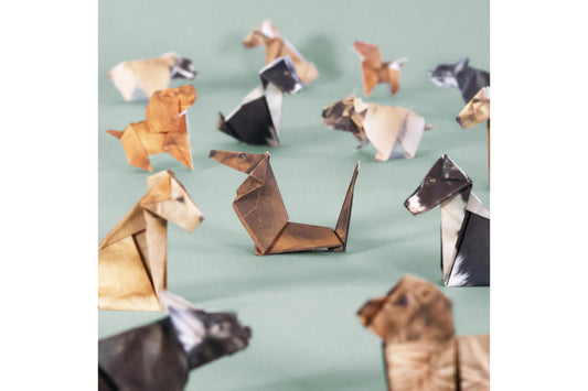 Pikkii Paper Pups Flywheel Stationery Tasmania
