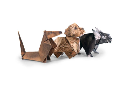Pikkii Paper Pups Flywheel Stationery Tasmania
