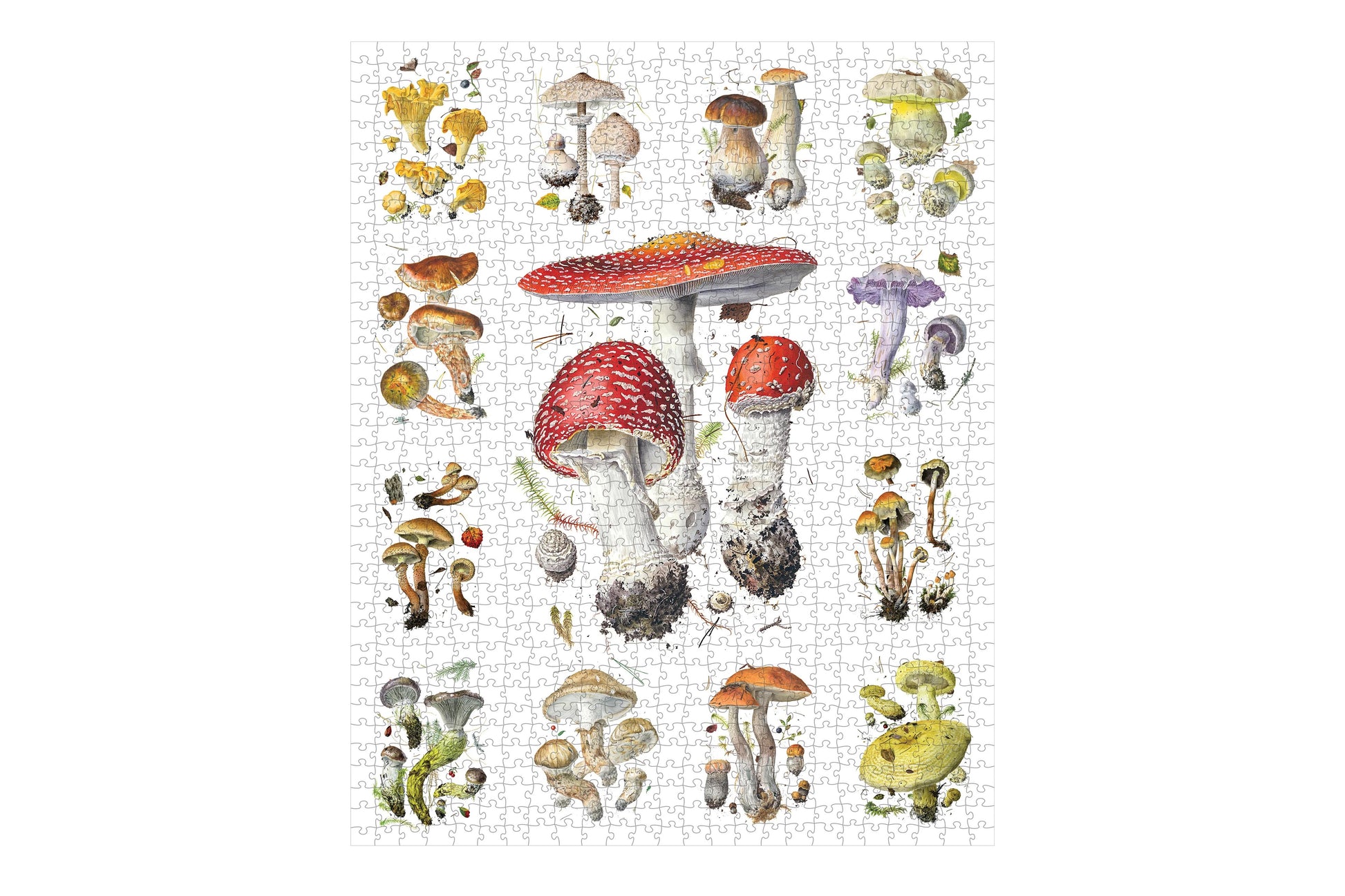 Pomegranate 1000 Piece Puzzle - Mushrooms | Flywheel | Stationery | Tasmania