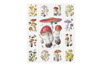 Pomegranate 1000 Piece Puzzle - Mushrooms | Flywheel | Stationery | Tasmania