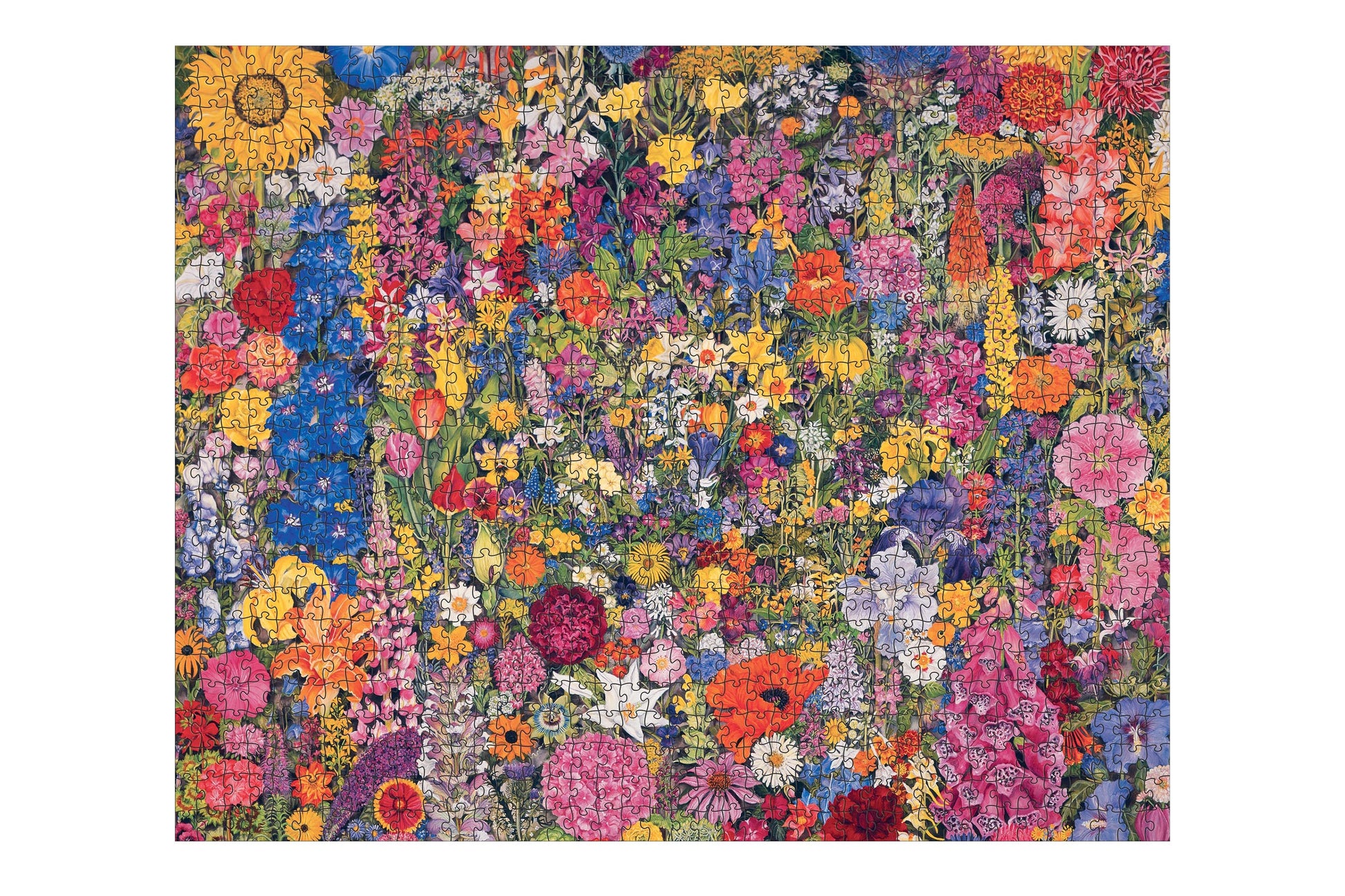 Pomegranate 1000 Piece Puzzle - Flower Cycle | Flywheel | Stationery | Tasmania