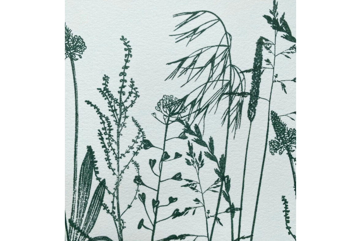 Stempel Jazz Rubber Stamp - Bromegrass | Flywheel | Stationery | Tasmania