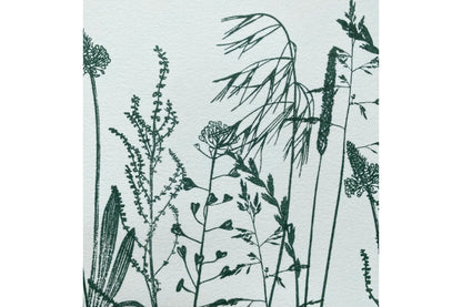 Stempel Jazz Rubber Stamp - Bromegrass | Flywheel | Stationery | Tasmania