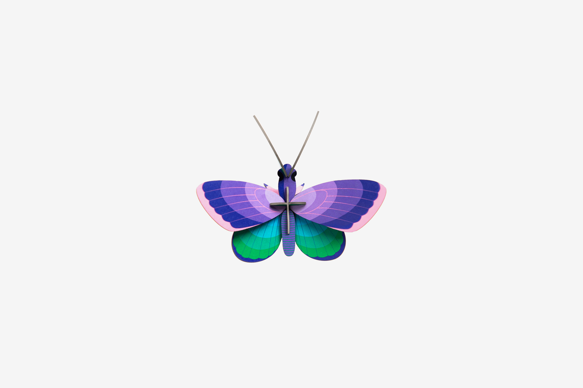 Studio Roof Wall Art - Blue Copper Butterfly