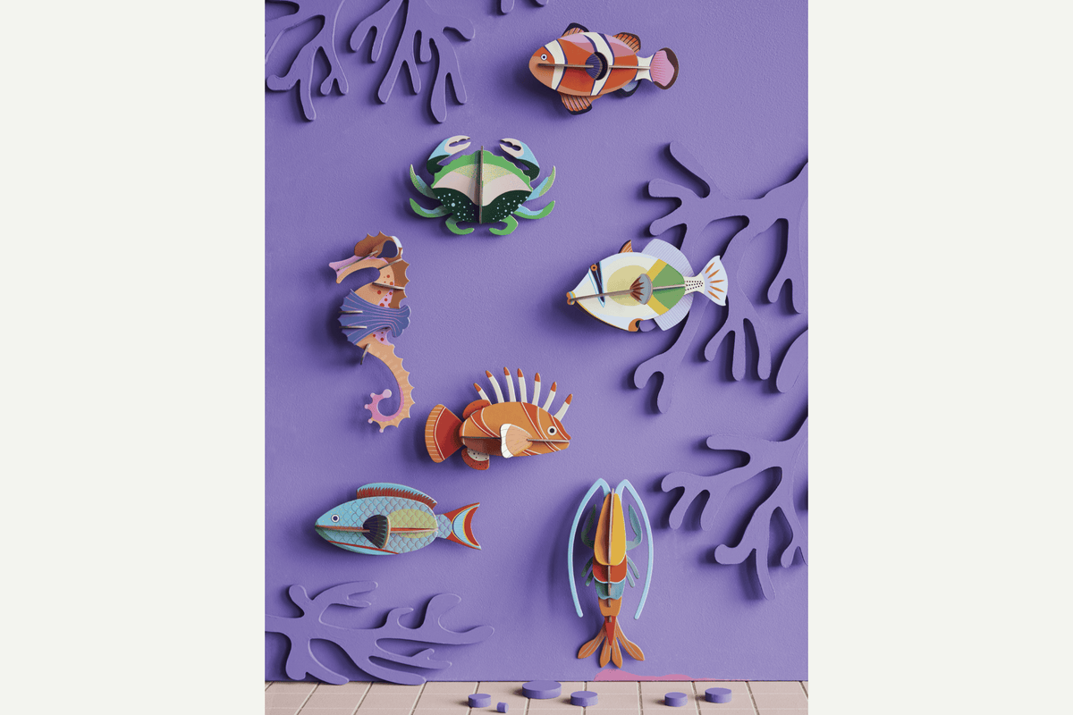 Studio Roof Wall Art - Clownfish