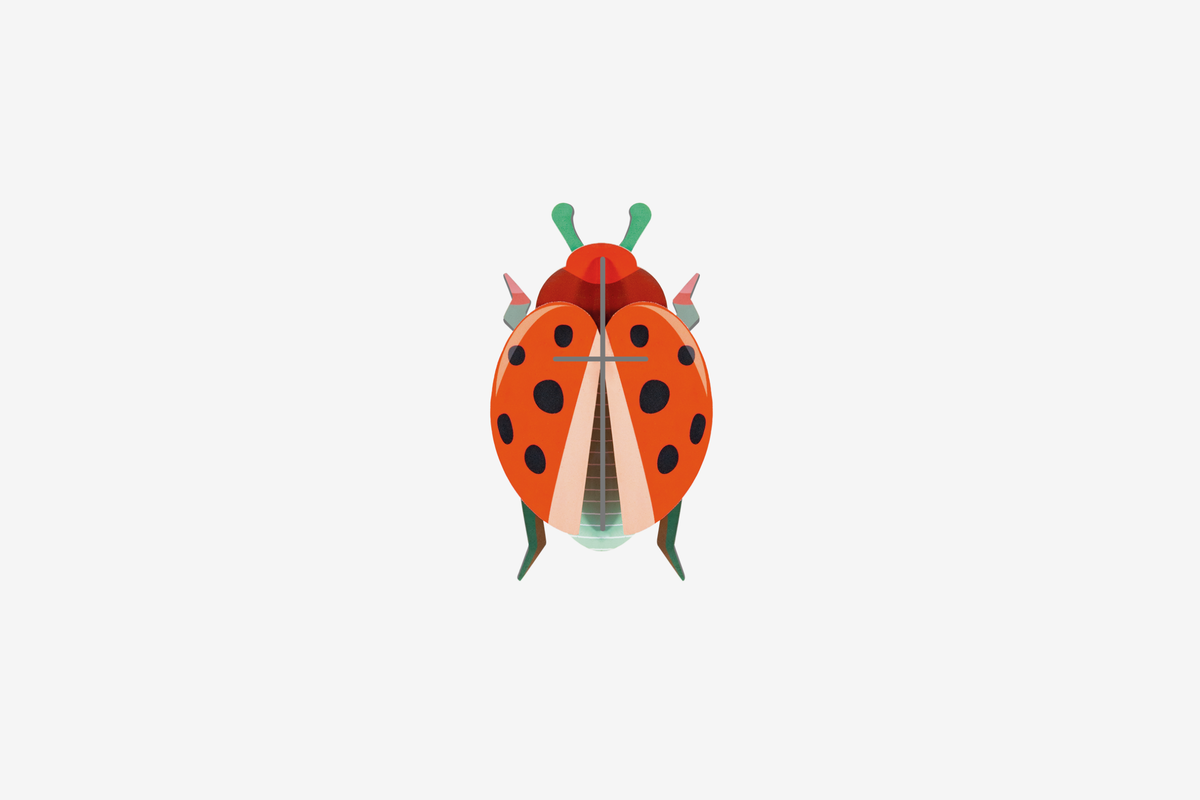 Studio Roof Wall Art - Coccinelle Rouge