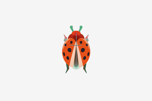 Studio Roof Wall Art - Coccinelle Rouge