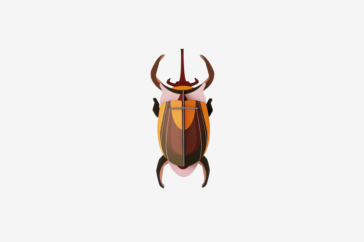 Studio Roof Wall Art - Elephant Beetle
