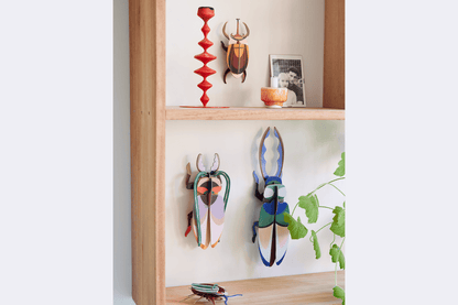 Studio Roof Wall Art - Elephant Beetle