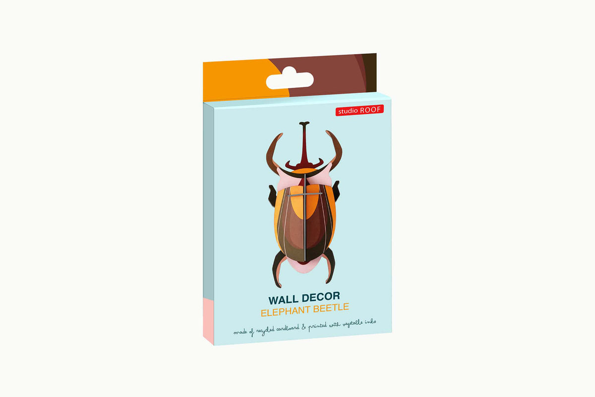 Studio Roof Wall Art - Elephant Beetle