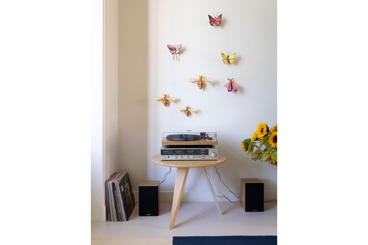Studio Roof Wall Art - Lilac Comet Butterfly