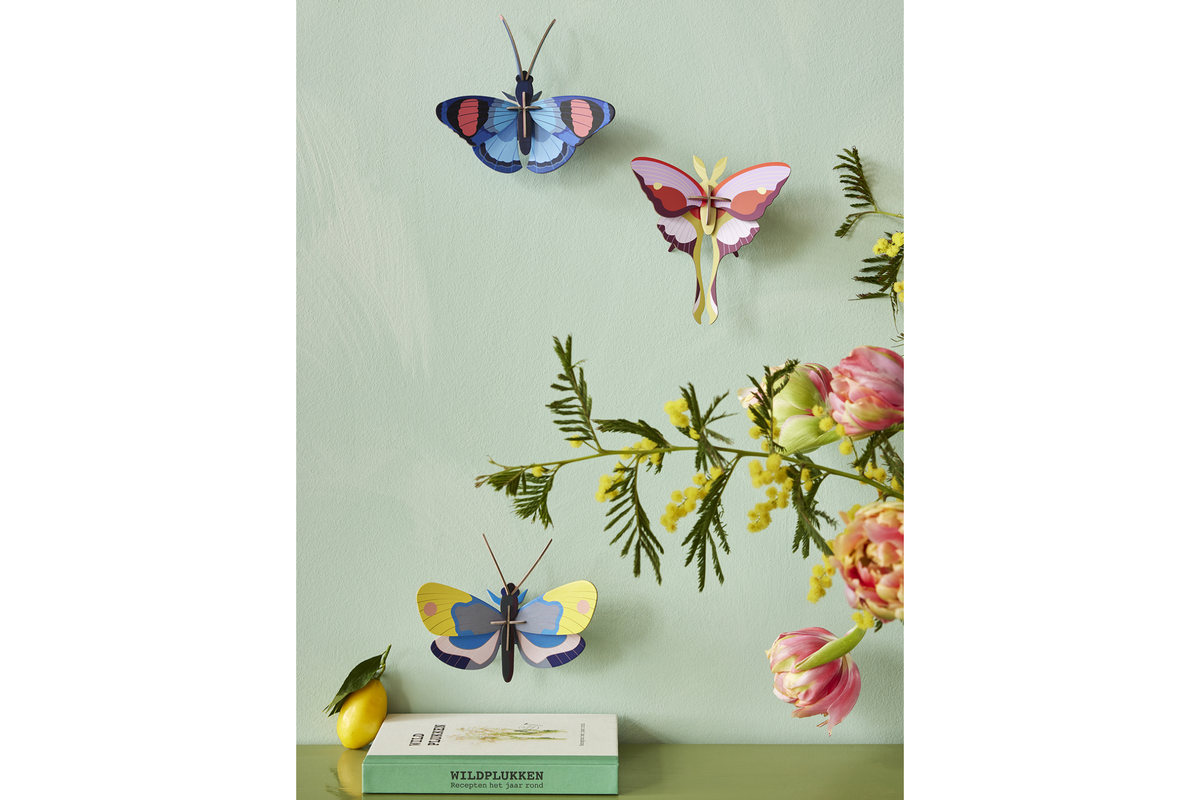 Studio Roof Wall Art - Lilac Comet Butterfly