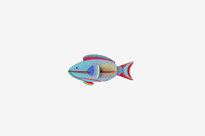 Studio Roof Wall Art - Parrotfish