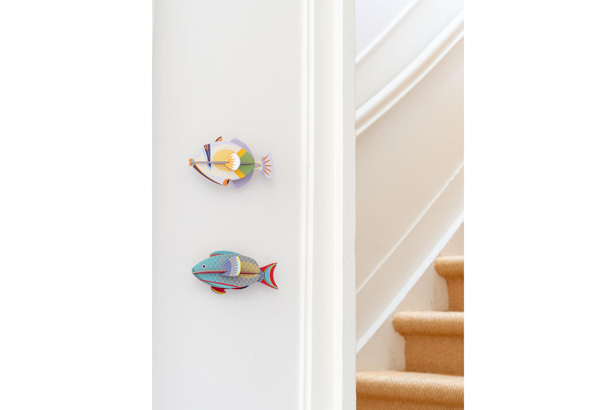 Studio Roof Wall Art - Parrotfish