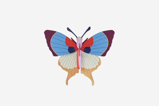 Studio Roof Wall Art - Plum Fringe Butterfly