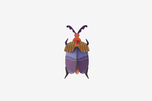 Studio Roof Wall Art - Queen Beetle