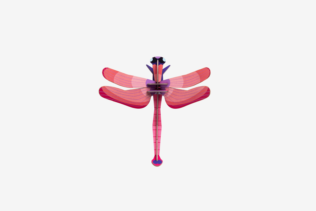 Studio Roof Wall Art - Ruby Dragonfly