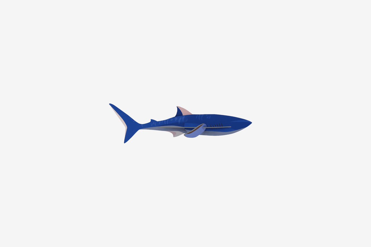 Studio Roof Wall Art - Shark