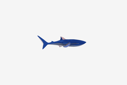 Studio Roof Wall Art - Shark