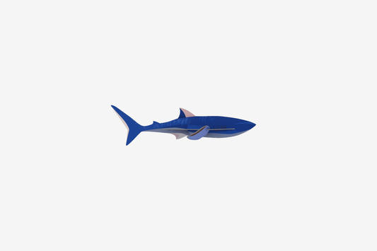 Studio Roof Wall Art - Shark